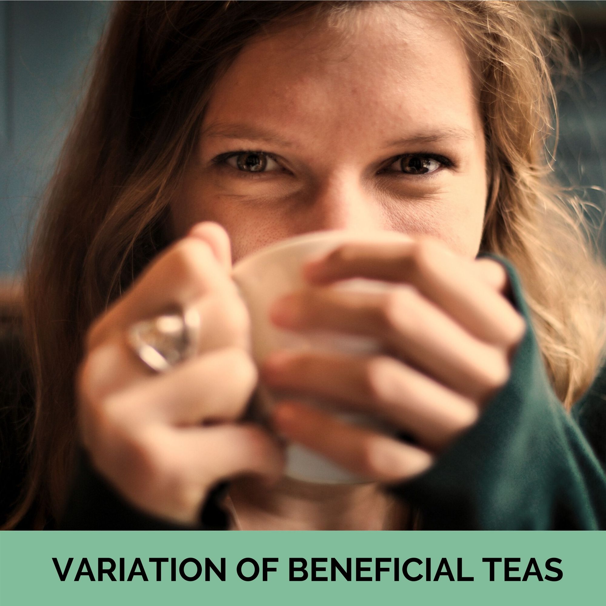 12 verschiedene Teesorten in der Geschenkbox für Teeliebhaber, Teeprobierset mit Teesorten aus aller Welt Geschenkidee für Teetrinker