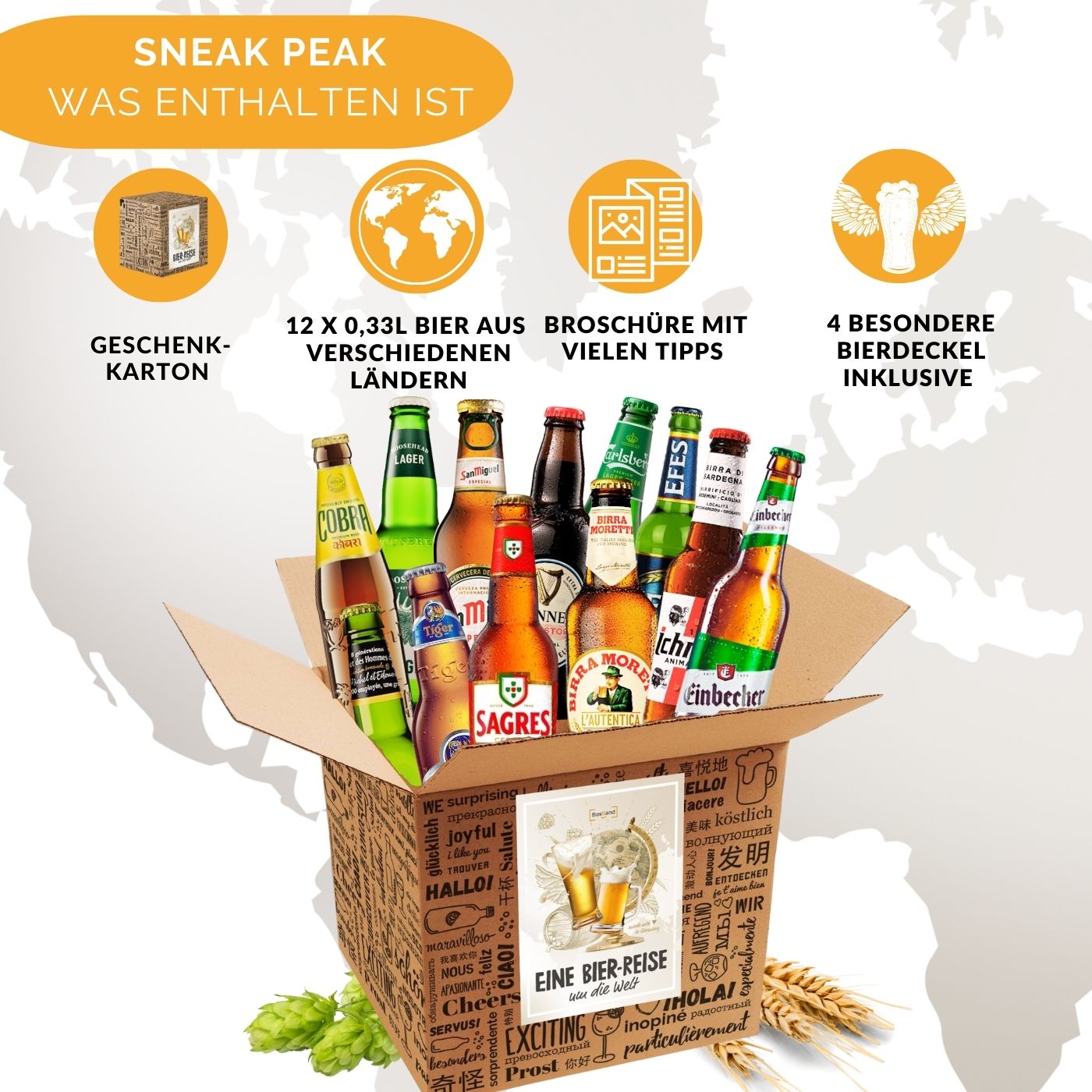 BOXILAND® Bier Geschenk Probierset [INKL. BIER-BROSCHÜRE] - Bier Set Bier Tasting - Bier Probierset besonderes Bier - Biertasting Bier Geschenke für Männer - Geschenk Biere aus aller Welt (12 x 0,33l)