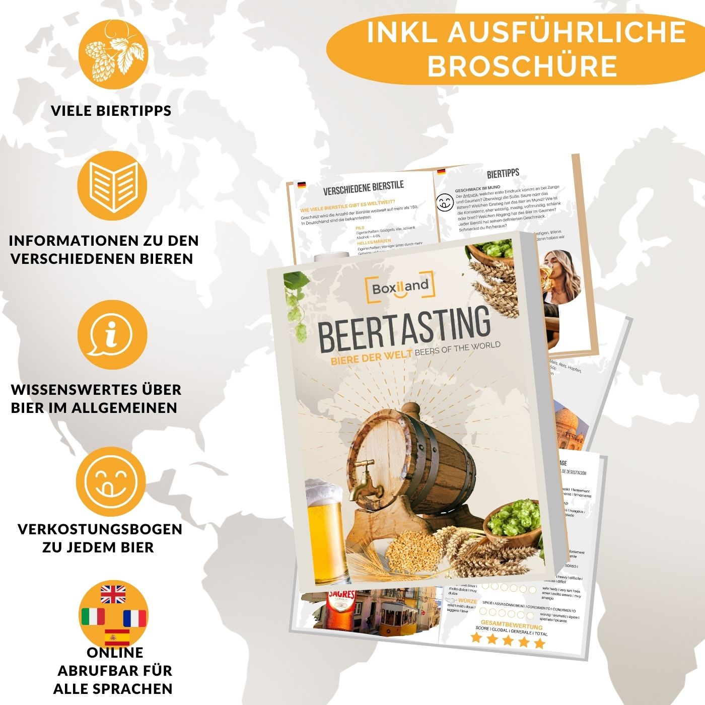 Biere der Welt (12 Flaschen) internationale Bier Spezialitäten zum Verschenken - Beste Biere der Welt mit Geschenkkarton (Bier + Tasting-Anleitung + Bierbroschüre + Brauereigeschenke + Geschenkkarton)