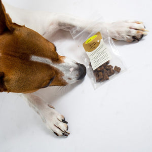 Hunde Adventskalender 2023 mit 24 Leckerlies für den Vierbeiner - Snack Adventskalender für Hunde mit 24 Knabberein