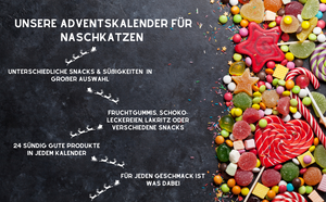 Leckereien Adventskalender 2023 Süßigkeiten Snack Adventskalender mit 24 Sweets I Adventskalender mit Schokofrüchten und süßen Snacks